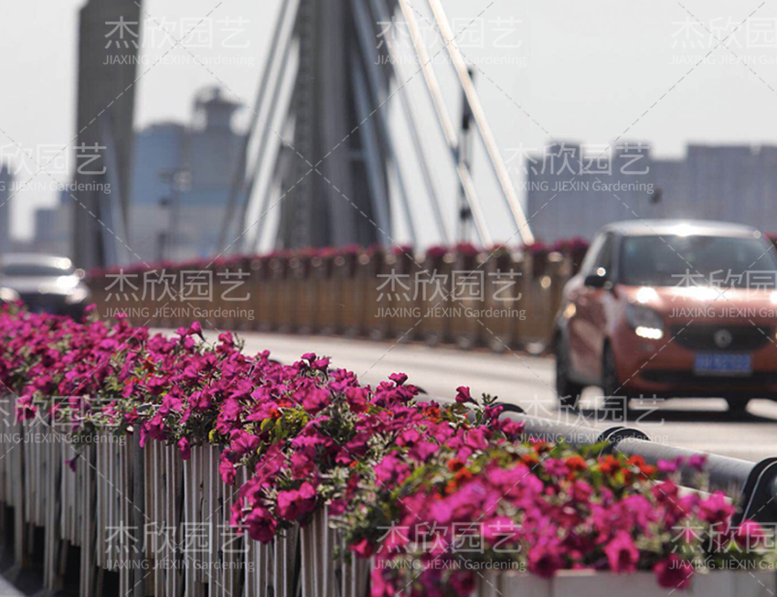 鋁合金創(chuàng)意花箱有哪些款式？